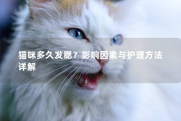 猫咪多久发腮？影响因素与护理方法详解