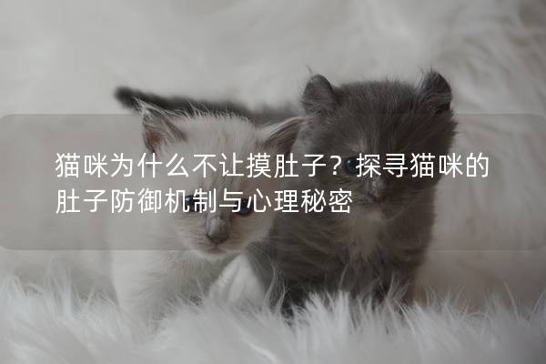 猫咪为什么不让摸肚子？探寻猫咪的肚子防御机制与心理秘密