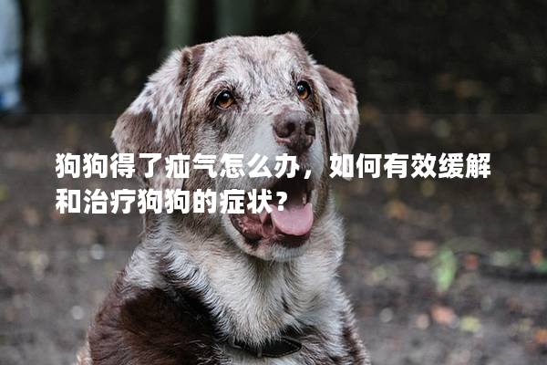 狗狗得了疝气怎么办，如何有效缓解和治疗狗狗的症状？