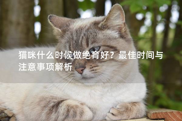 猫咪什么时候做绝育好？最佳时间与注意事项解析