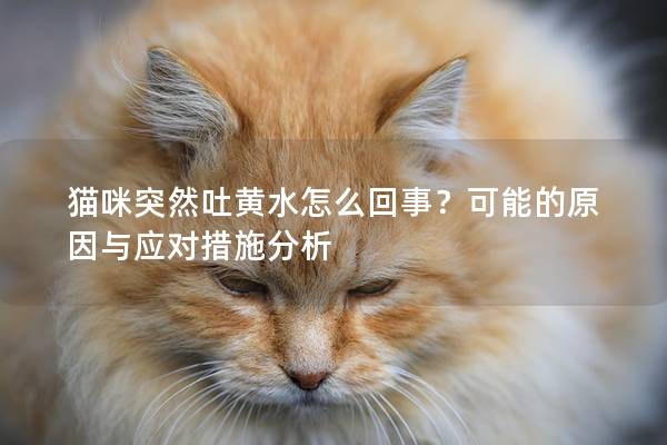 猫咪突然吐黄水怎么回事？可能的原因与应对措施分析