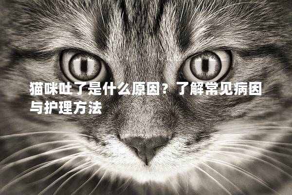 猫咪吐了是什么原因？了解常见病因与护理方法