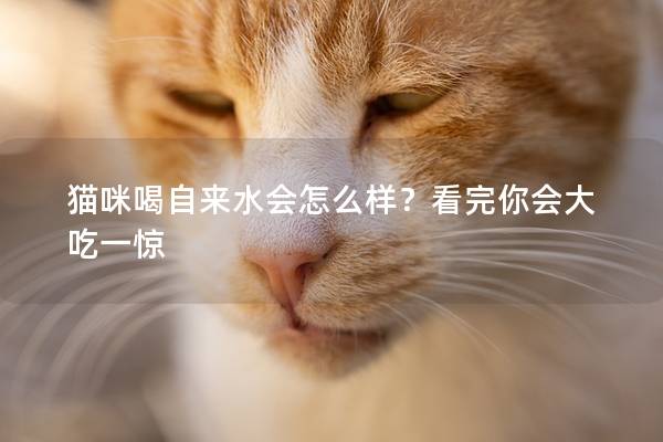 猫咪喝自来水会怎么样？看完你会大吃一惊