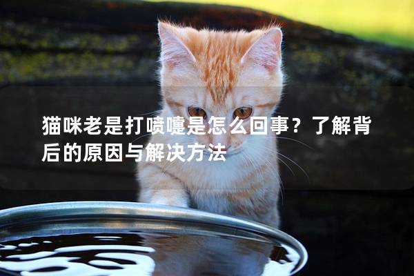 猫咪老是打喷嚏是怎么回事？了解背后的原因与解决方法