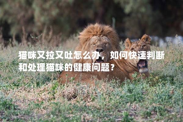 猫咪又拉又吐怎么办，如何快速判断和处理猫咪的健康问题？