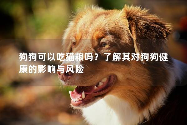 狗狗可以吃猫粮吗？了解其对狗狗健康的影响与风险