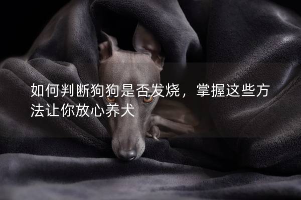 如何判断狗狗是否发烧，掌握这些方法让你放心养犬