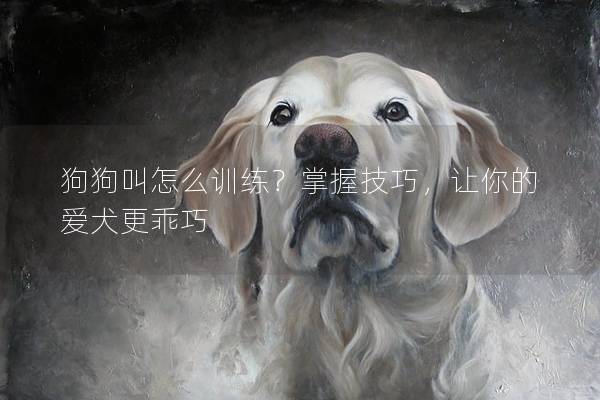 狗狗叫怎么训练？掌握技巧，让你的爱犬更乖巧