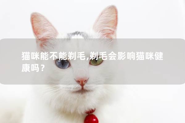 猫咪能不能剃毛,剃毛会影响猫咪健康吗？