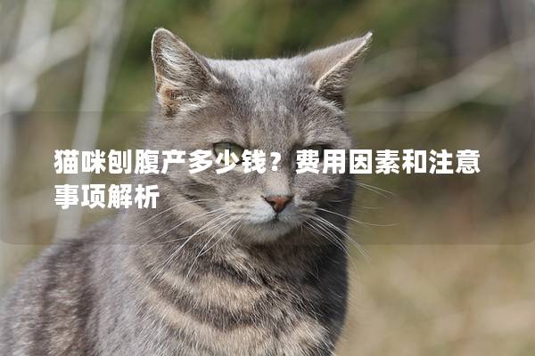 猫咪刨腹产多少钱？费用因素和注意事项解析