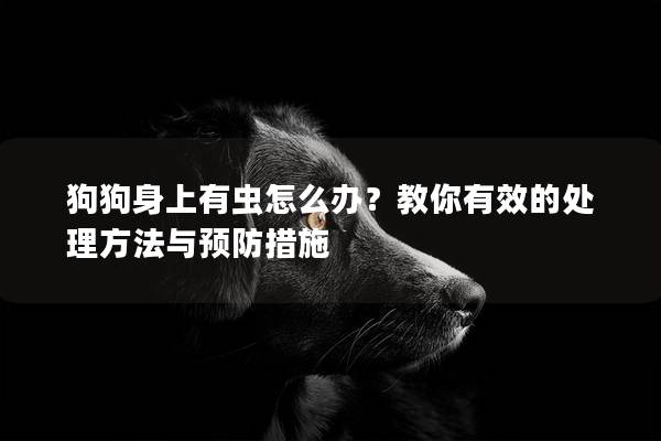 狗狗身上有虫怎么办？教你有效的处理方法与预防措施