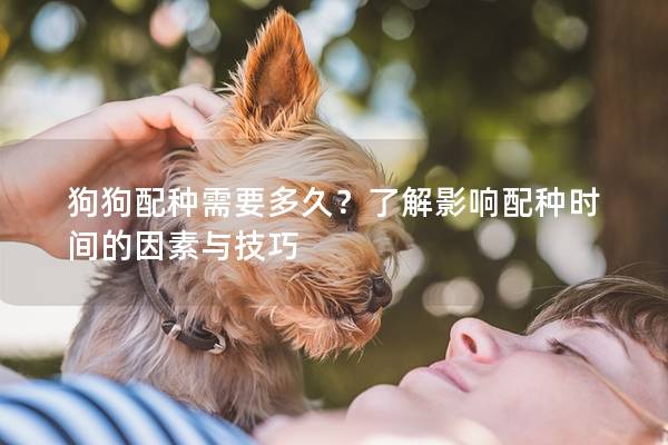 狗狗配种需要多久？了解影响配种时间的因素与技巧