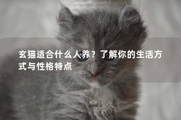 玄猫适合什么人养？了解你的生活方式与性格特点