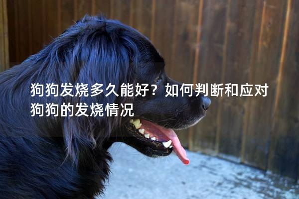 狗狗发烧多久能好？如何判断和应对狗狗的发烧情况