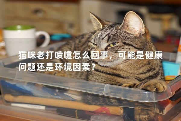 猫咪老打喷嚏怎么回事，可能是健康问题还是环境因素？