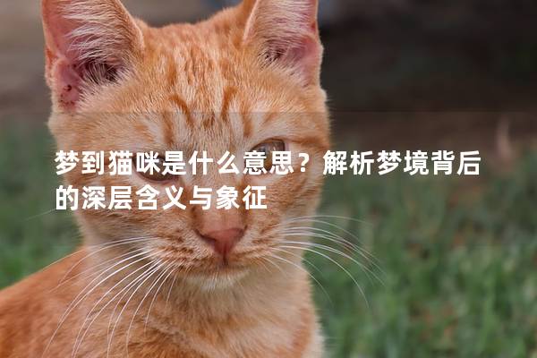 梦到猫咪是什么意思？解析梦境背后的深层含义与象征