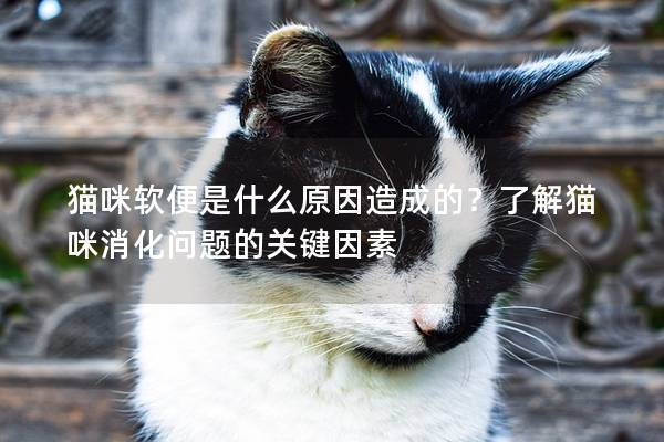 猫咪软便是什么原因造成的？了解猫咪消化问题的关键因素