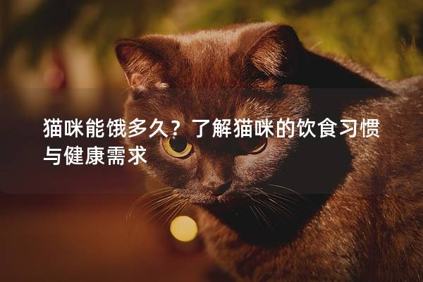 猫咪能饿多久？了解猫咪的饮食习惯与健康需求