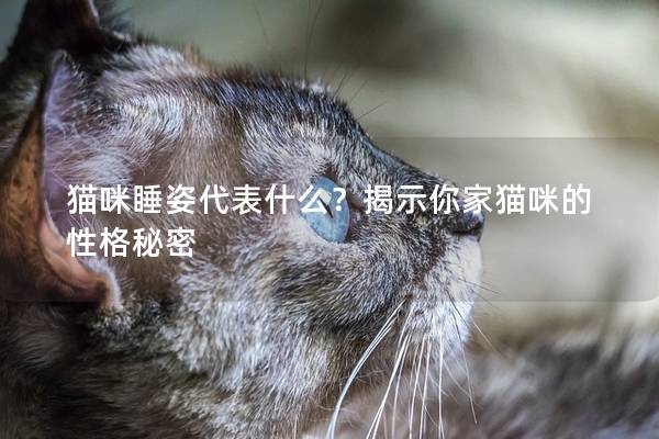 猫咪睡姿代表什么？揭示你家猫咪的性格秘密