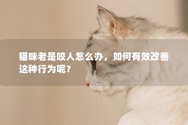 猫咪老是咬人怎么办，如何有效改善这种行为呢？