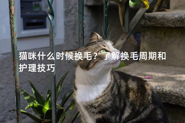 猫咪什么时候换毛？了解换毛周期和护理技巧