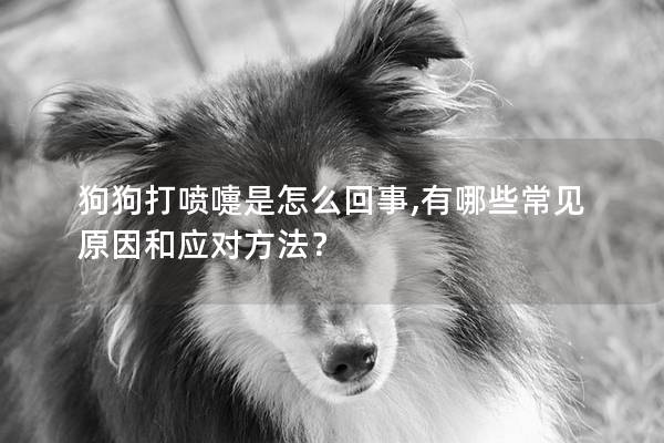 狗狗打喷嚏是怎么回事,有哪些常见原因和应对方法？