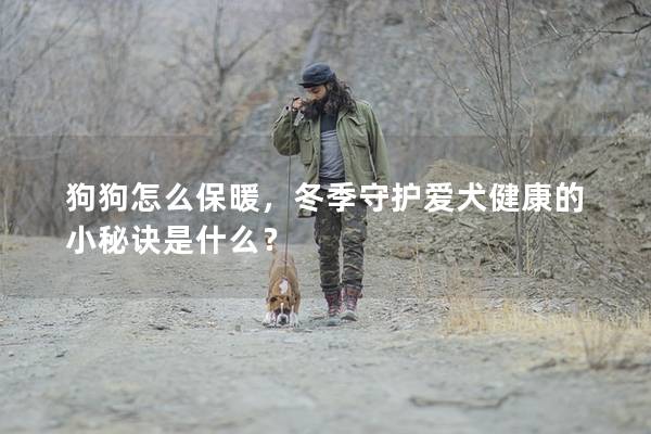 狗狗怎么保暖，冬季守护爱犬健康的小秘诀是什么？