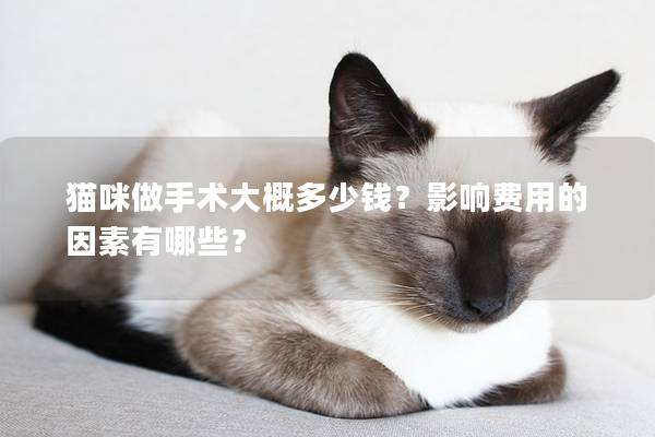 猫咪做手术大概多少钱？影响费用的因素有哪些？