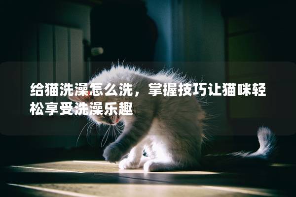 给猫洗澡怎么洗，掌握技巧让猫咪轻松享受洗澡乐趣