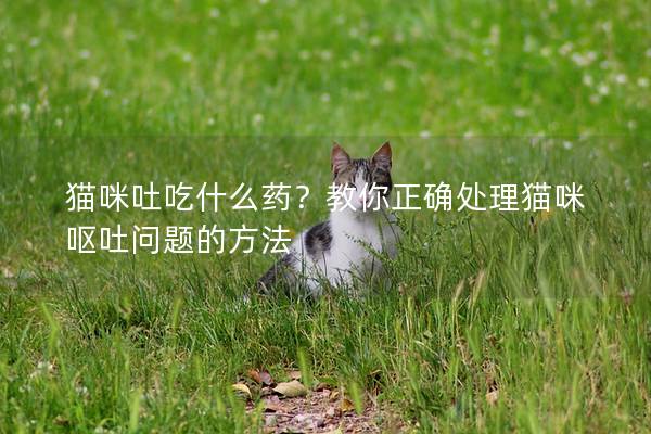 猫咪吐吃什么药？教你正确处理猫咪呕吐问题的方法