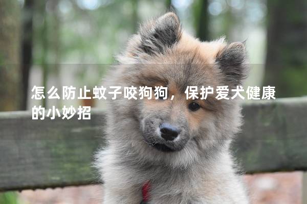 怎么防止蚊子咬狗狗，保护爱犬健康的小妙招