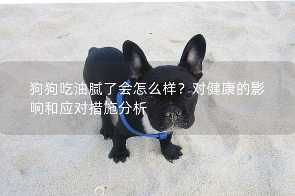 狗狗吃油腻了会怎么样？对健康的影响和应对措施分析