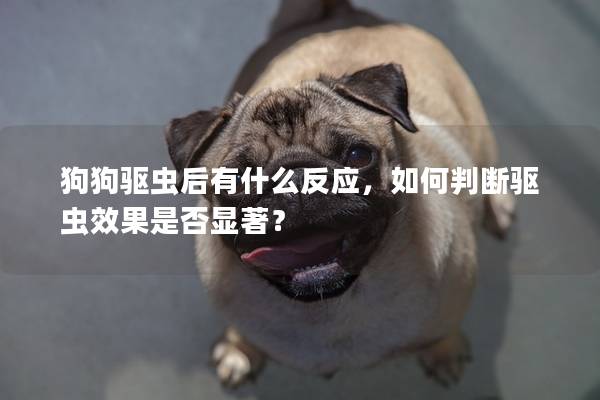 狗狗驱虫后有什么反应，如何判断驱虫效果是否显著？