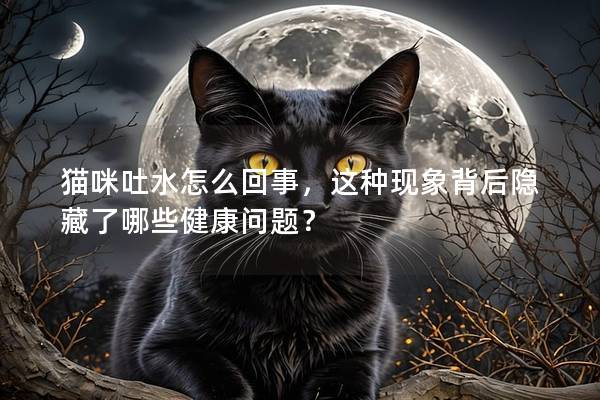 猫咪吐水怎么回事，这种现象背后隐藏了哪些健康问题？