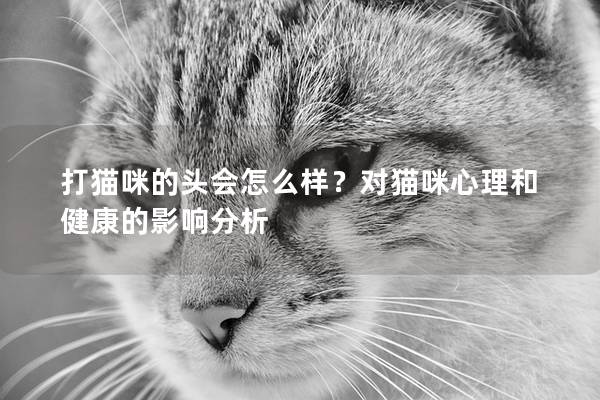 打猫咪的头会怎么样？对猫咪心理和健康的影响分析