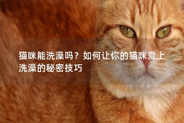 猫咪能洗澡吗？如何让你的猫咪爱上洗澡的秘密技巧