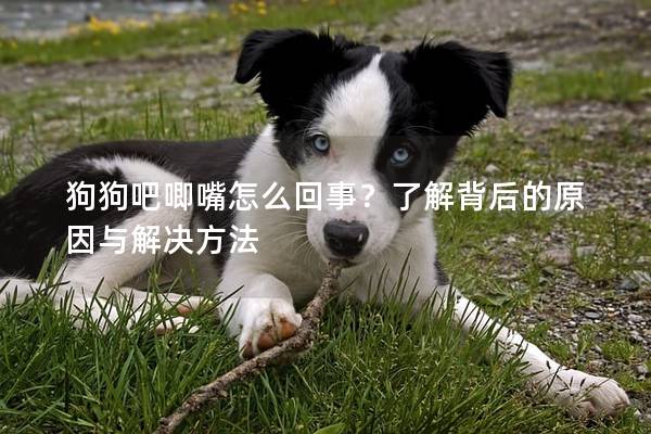 狗狗吧唧嘴怎么回事？了解背后的原因与解决方法