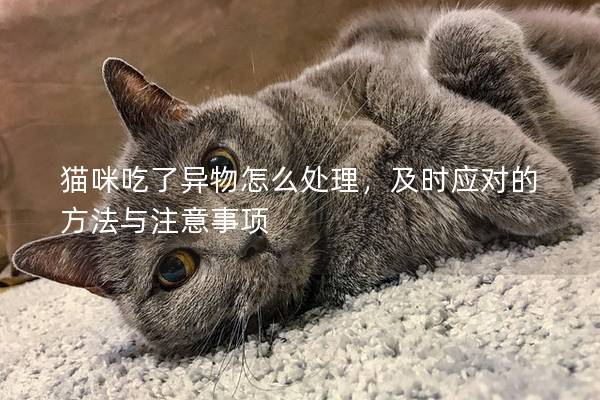 猫咪吃了异物怎么处理，及时应对的方法与注意事项