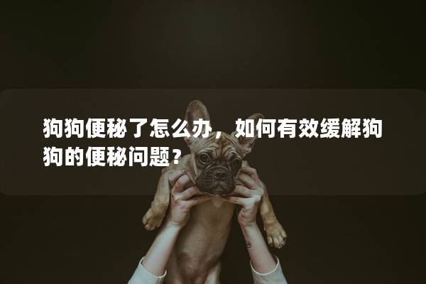 狗狗便秘了怎么办，如何有效缓解狗狗的便秘问题？