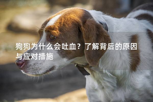 狗狗为什么会吐血？了解背后的原因与应对措施