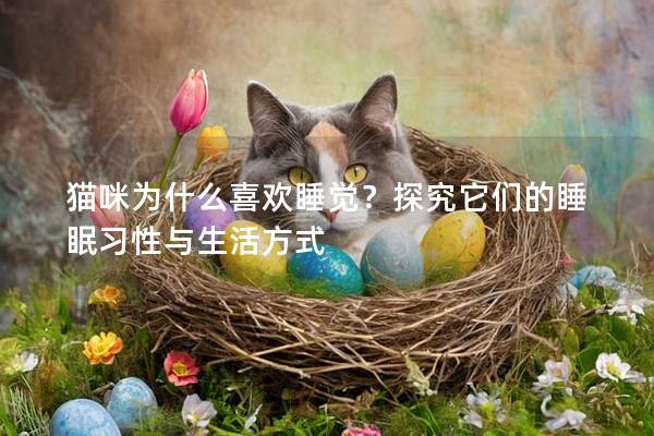 猫咪为什么喜欢睡觉？探究它们的睡眠习性与生活方式