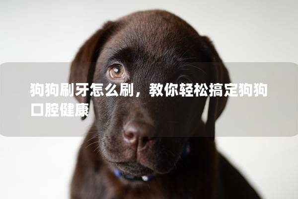 狗狗刷牙怎么刷，教你轻松搞定狗狗口腔健康