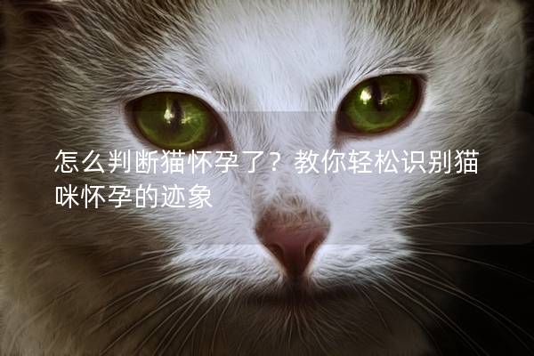 怎么判断猫怀孕了？教你轻松识别猫咪怀孕的迹象