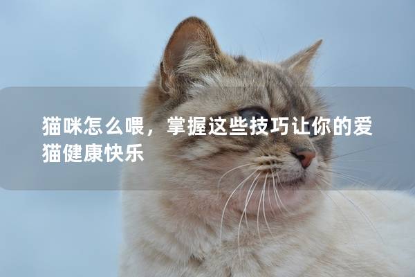 猫咪怎么喂，掌握这些技巧让你的爱猫健康快乐