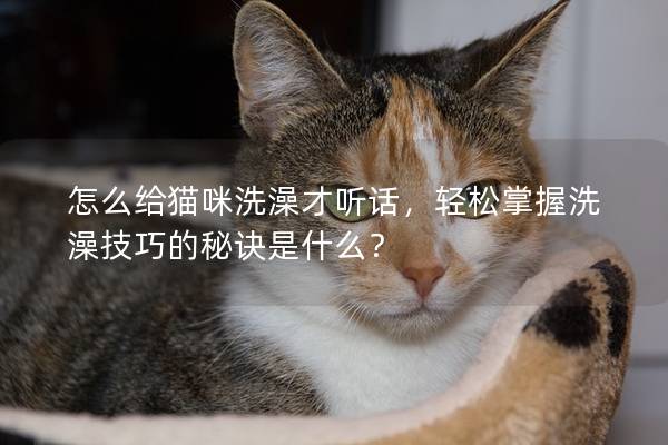 怎么给猫咪洗澡才听话，轻松掌握洗澡技巧的秘诀是什么？