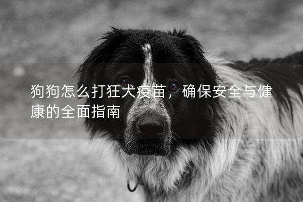 狗狗怎么打狂犬疫苗，确保安全与健康的全面指南