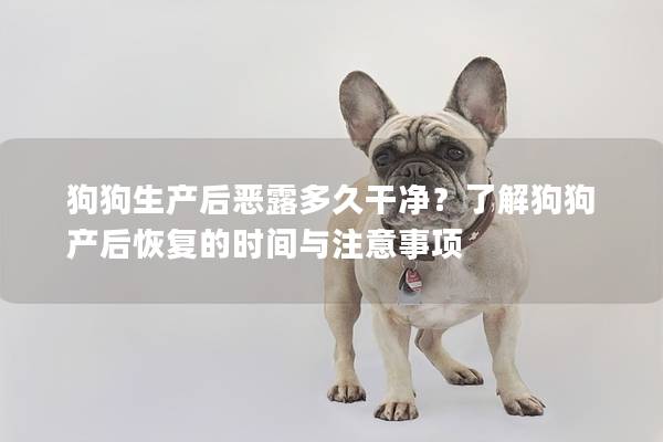 狗狗生产后恶露多久干净？了解狗狗产后恢复的时间与注意事项