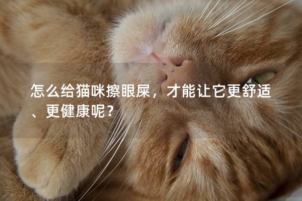 怎么给猫咪擦眼屎，才能让它更舒适、更健康呢？