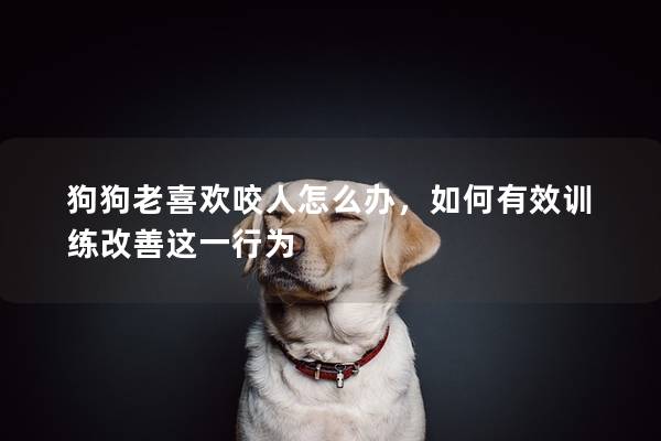 狗狗老喜欢咬人怎么办，如何有效训练改善这一行为