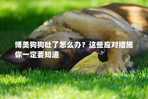 博美狗狗吐了怎么办？这些应对措施你一定要知道